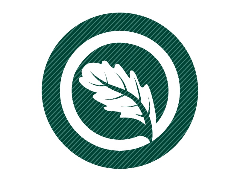 Wood Seeds -  dřevo, lesy, dluhopisy